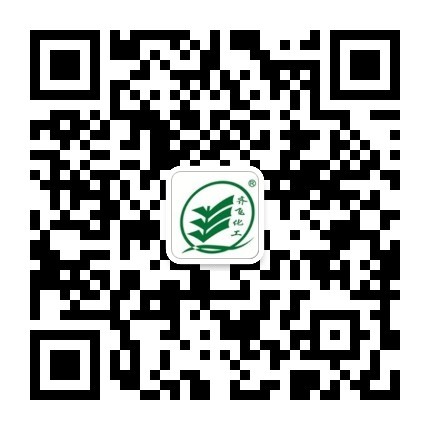污草莓视频下载观看