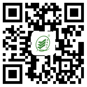 草莓视频在线观看网站